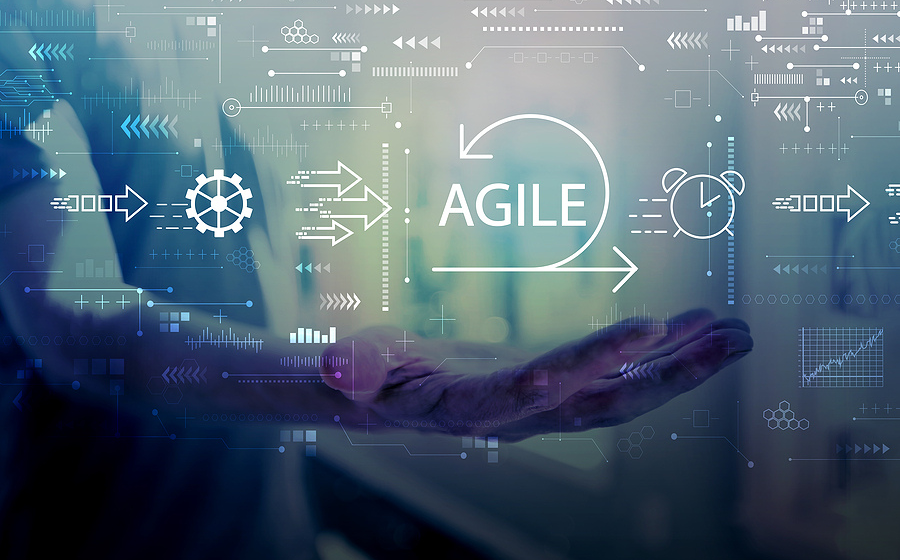 Do You Have Digital Business Agility? 